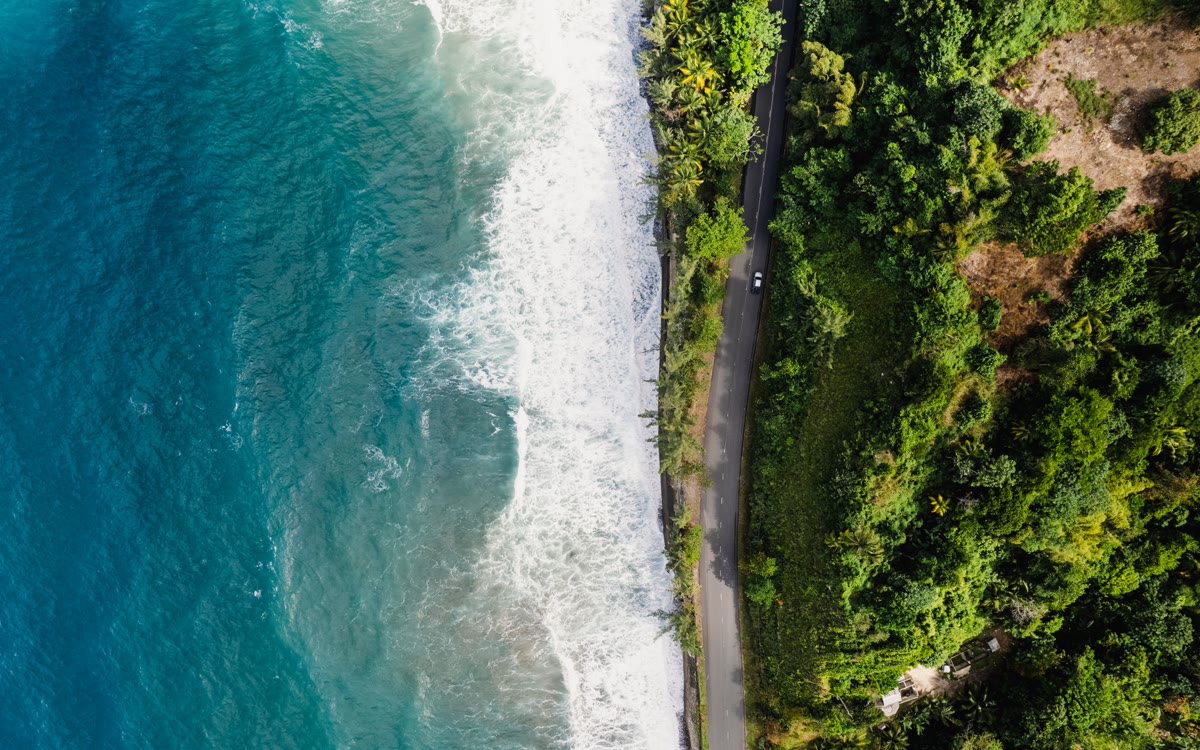 Aerial view of a lush Jamaican coastline beside the ocean.